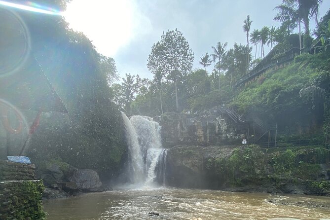 Bali Arts shopping with temples-waterfall visit. - Semar Kuning Artist Cooperative and Balinese painting