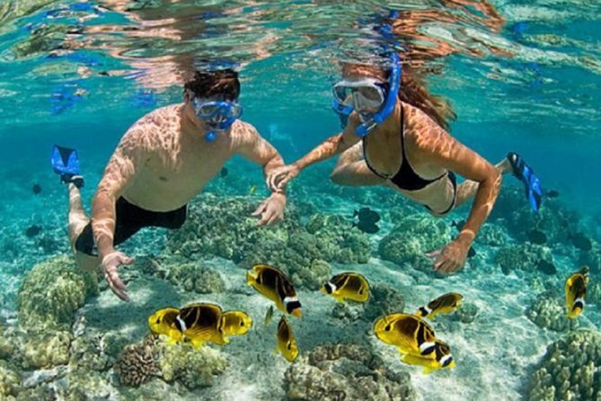 Bali ATV Blue Lagoon Snorkeling Private Guided Tour Free WiFi - One day, three very different sides of Bali