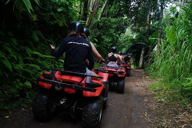 Bali ATV Quad Bike Adventure with Gorilla Cave Pass By Waterfall - Lunch, equipment, and the real value of $55.37
