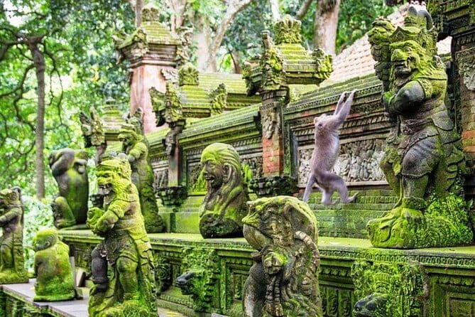 Bali ATV Quad Bike Ubud Swing & Monkey Forest All Inclusive - Meeting the monkeys at the Sacred Monkey Forest