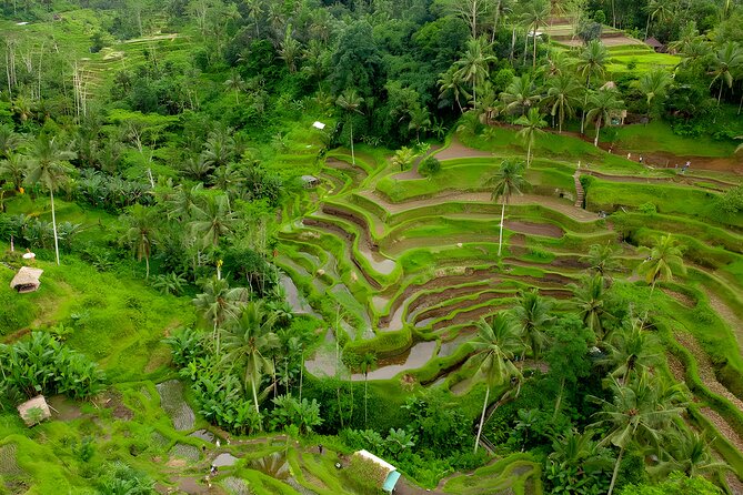 Bali ATV Ride And Ubud Tour Packages : Best Quad Bike Trip - The ATV ride at Bali Pertiwi Adventure