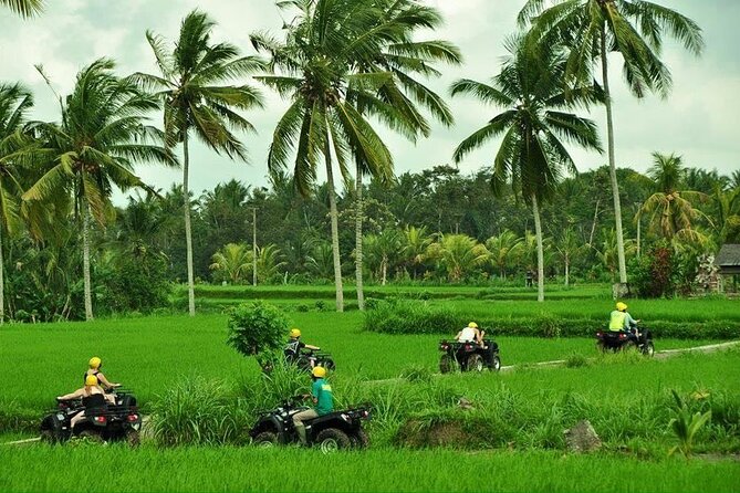 Bali ATV Ride tour Ubud - Jungle, rice fields, and river riding