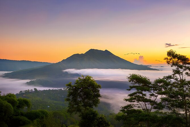 Bali: Barong Dance, Rice Terrace, Volcano, Temple, Waterfall Tour - Walking among macaques at Monkey Forest