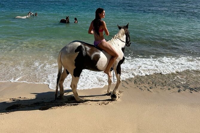 Bali Beach Horse Riding combo with waterfall All Inclusive - Saba Beach: the main attraction