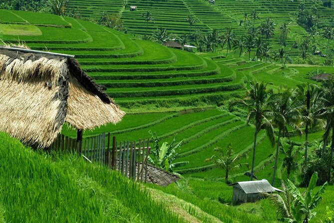 Bali: Bedugul Lake Temple, Banyumala Waterfall, UNESCO Rice Field - Ulun Danu Bratan Temple beside Lake Beratan