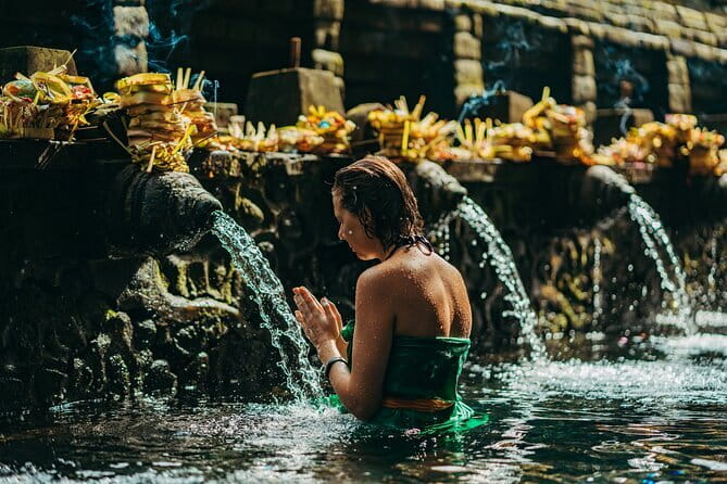 Bali: Bedugul Temple, Banyumala Waterfall, UNESCO Rice Terrace - What the private vehicle and guide add