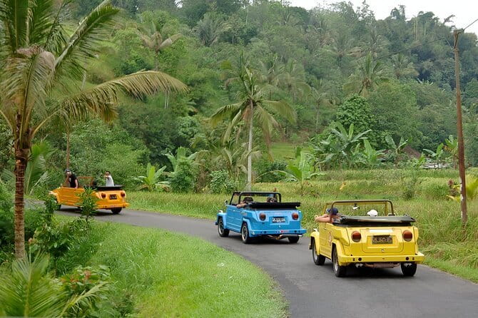 Bali: Bedugul Temple, Banyumala Waterfall, UNESCO Rice Terrace - Timing, food, clothing, and practical preparation