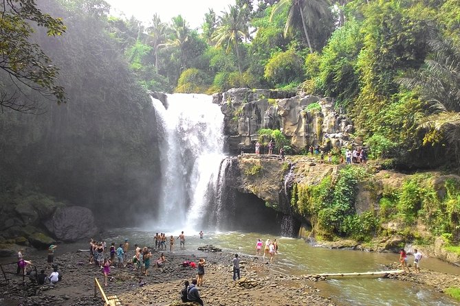 Bali Benoa Shore Excursion for cruise's passenger - All Inclusive - Uma Pakel’s coffee, fruit, and valley views