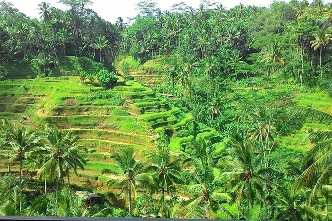 Bali Benoa Shore Excursion for cruise's passenger - All Inclusive - What the private format changes