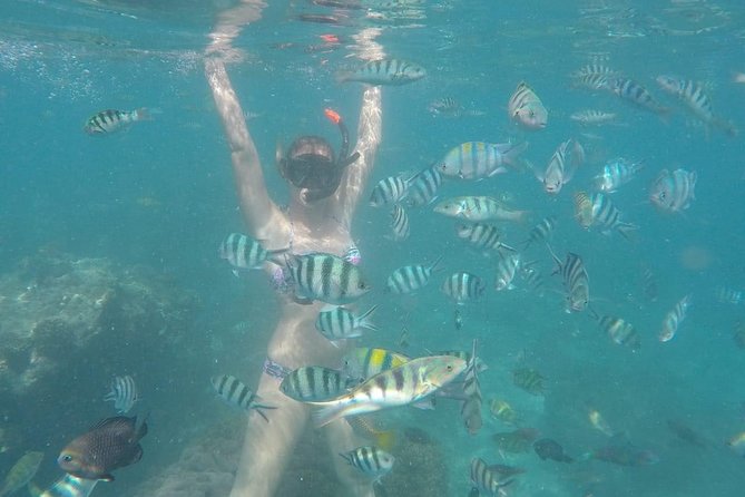Bali Best Snorkeling at Blue Lagoon - Practical details that affect your day