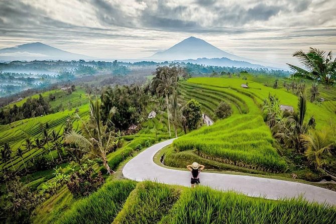 Bali BEST Things to Do Private Full-day Tour from Your Hotel - Temples that give the day cultural weight