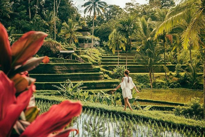 Bali BEST Things to Do Private Full-day Tour from Your Hotel - Ubud’s rice terraces and waterfalls fill the middle of the day