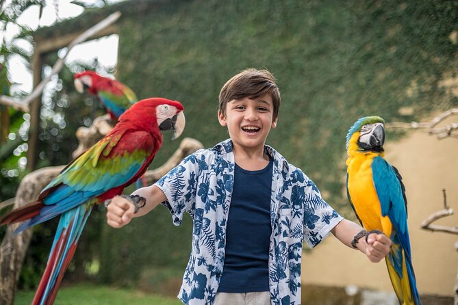 Bali Bird Park Admission Ticket - Timing your visit around the daily schedule