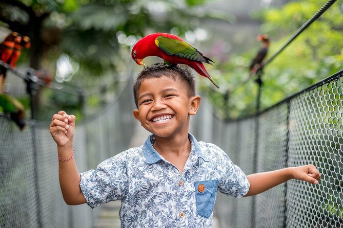 Bali Bird Park Admission Ticket - The Bali Rain Forest Free Flight Bird Show