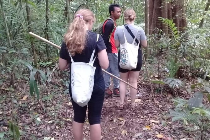 Bali Blue Lagoon Snorkeling and Waterfall Day Tour with Lunch - Why the $41 price can make sense