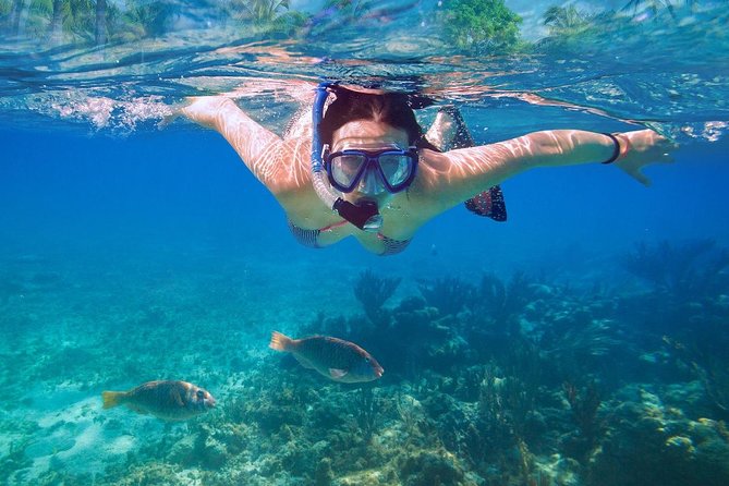 Bali Blue Lagoon Snorkeling Experience - The driver service matters more than you might expect