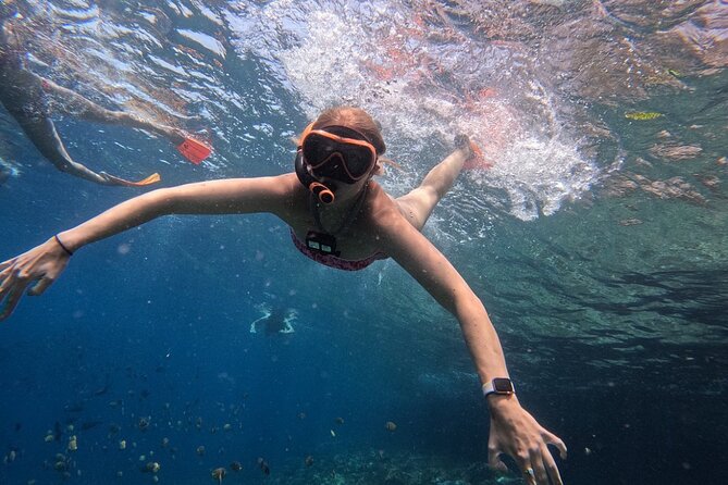 Bali Blue Lagoon Snorkeling - Lunch and Transport All Inclusive - The private guide makes the difference