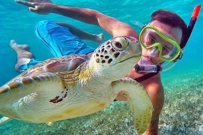 Bali Blue Lagoon Snorkeling - Lunch and Transport All Inclusive - What is included and what is not