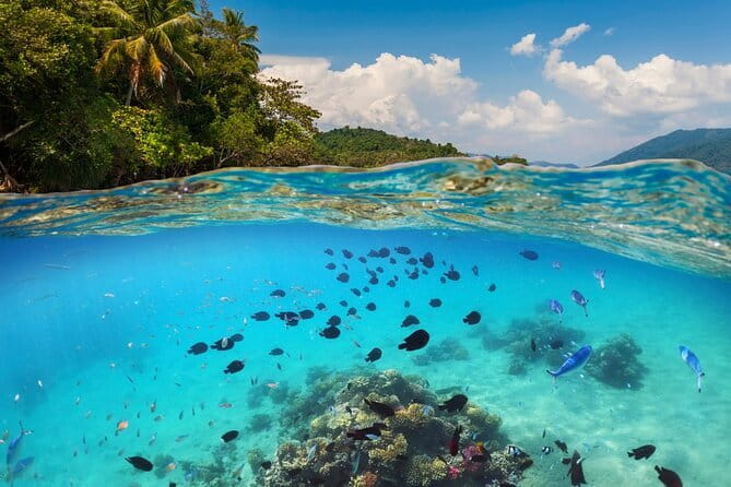 Bali Blue Lagoon Snorkeling Tour All Inclusive - Blue Lagoon: clear water with a little uncertainty
