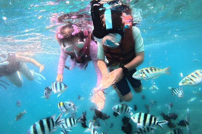 Bali Blue Lagoon Snorkeling Tour All Inclusive - Is the $42 price good value?