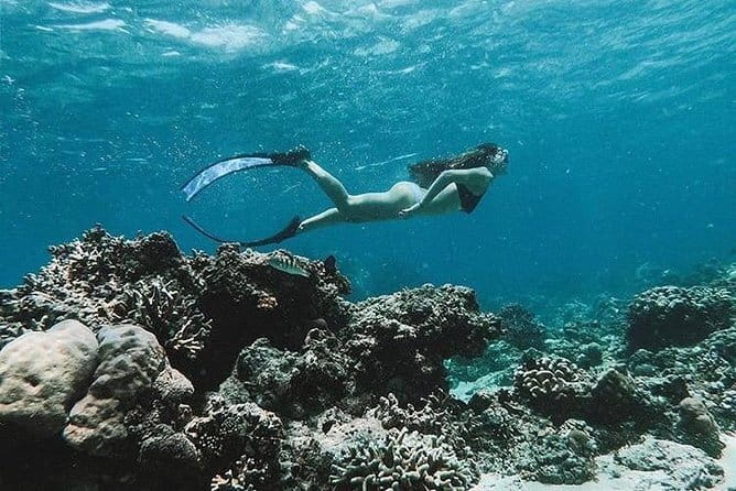 Bali Blue Lagoon Snorkeling Tour All Inclusive - Who should book this snorkeling outing?