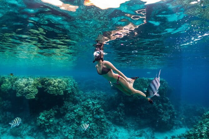 Bali Blue Lagoon Snorkeling Tour All Inclusive - Tanjung Jepun: the easier second session