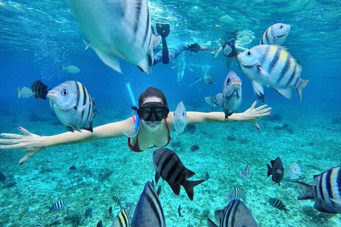Bali Blue Lagoon Snorkeling with Optional Tour & Activities - Booking details and cancellation terms