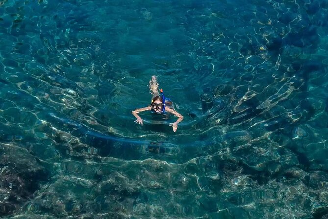 Bali Blue Lagoon Snorkeling with Private Transfer and Lunch - What the snorkeling portion is like