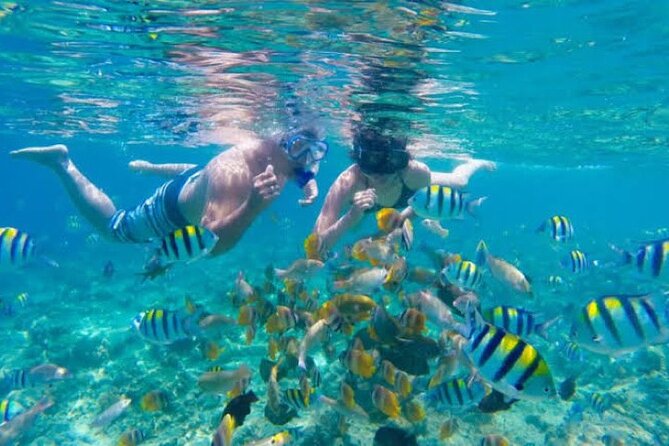 Bali Blue Lagoon Snorkeling with Private Transfer & Lunch - From Seminyak to Bali’s east coast