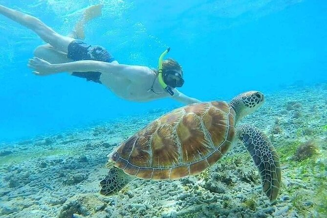Bali Blue Lagoon Snorkeling with Private Transfer & Lunch - Practical advice for a better day