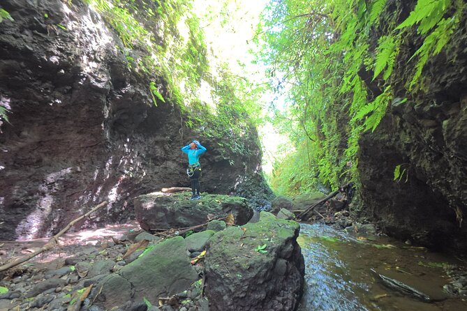 Bali Canyoning Trip – Explore Hidden Waterfalls & Gorges - Entering Gitgit’s bamboo forest