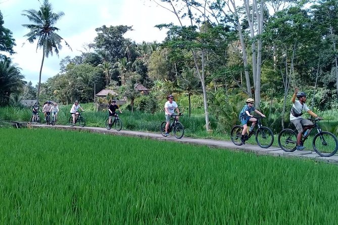 Bali Countryside Cycling Adventure - Bangli roads, markets and a water temple
