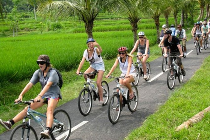 Bali Countryside Cycling Tour by Halo Bike Tour - The coffee plantation stop around 8:45