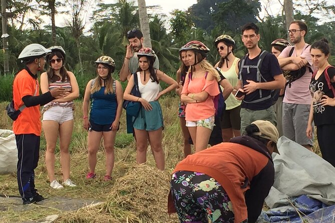 Bali Countryside Cycling Tour by Halo Bike Tour - Practical tips for a smoother day