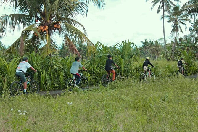 Bali Countryside Eco Cycling Tour include Lunch - Key details to know before booking