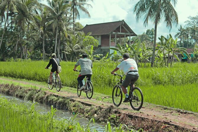 Bali Countryside Eco Cycling Tour include Lunch - A quiet start beyond Seminyak