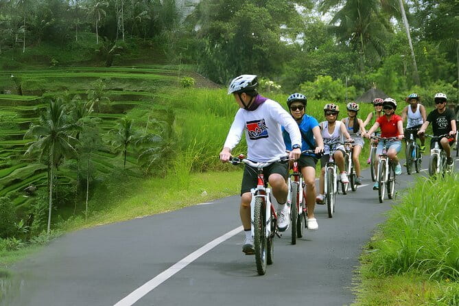 Bali Countryside Eco Cycling Tour include Lunch - Should you book the Bali countryside cycling tour?