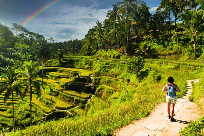 Bali Cultural Experience - Why this Bali day tour works well