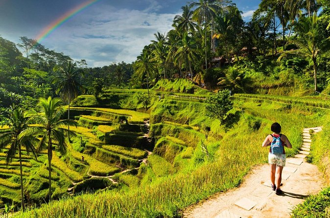 Bali Cultural Experience - Who should book this experience?