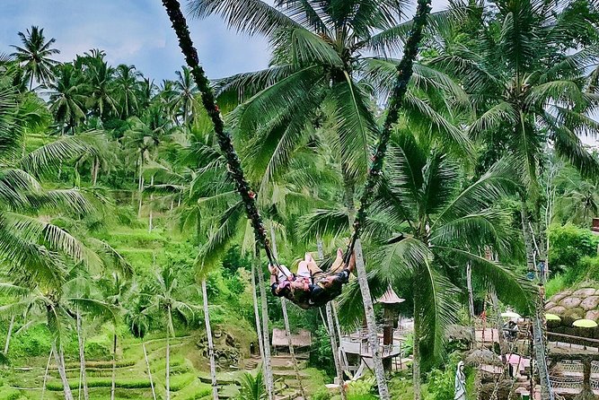 Bali Culture and Choose Your Bali Tour Route in Bali with Bali driver-Free WIFI - Why the private car and free Wi-Fi add real value