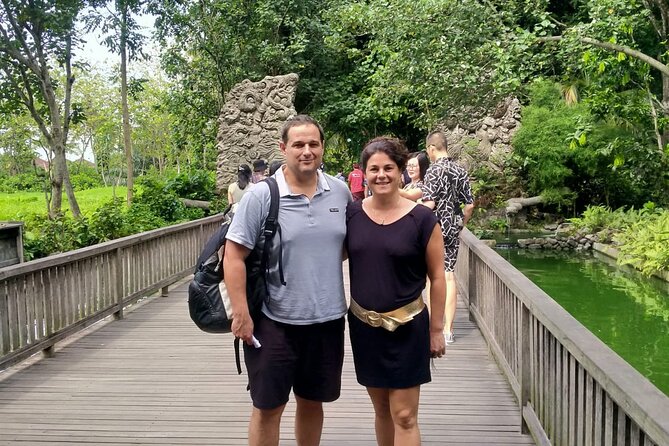 Bali Culture And Spring Temple Private Guided Tour - Tegalalang Rice Terrace for views, lunch, and optional swings