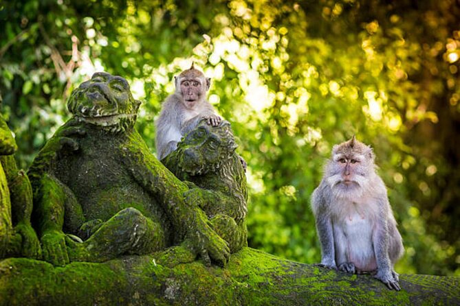 Bali Customized Private Tour - What the 8 to 10-hour day feels like