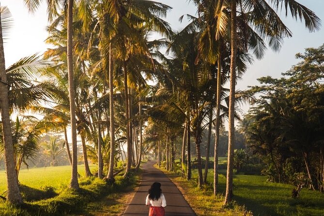Bali Customized Tour Private Car and Driver - Flexibility, weather, and the limits of customization