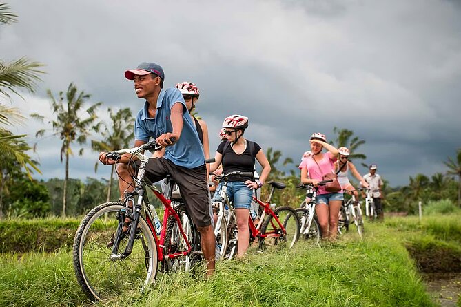 Bali Cycling and Ubud Waterfall Tour - Monkey Forest, a short Ubud stop