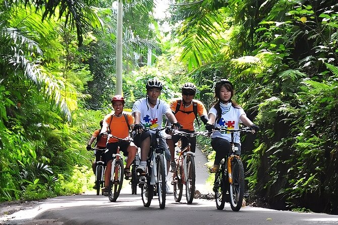 Bali Cycling and Ubud Waterfall Tour - Kintamani and the start of the bicycle route