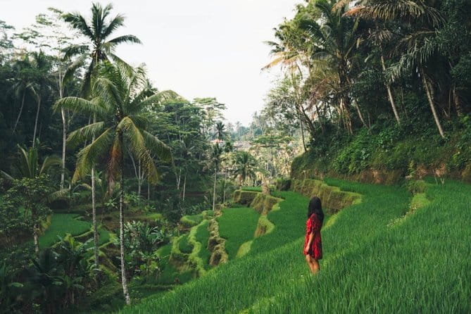 Bali day trip : Batur Sunrise Hike and Hot Spring All inclusive - Traditional coffee at Oka Agro Wisata