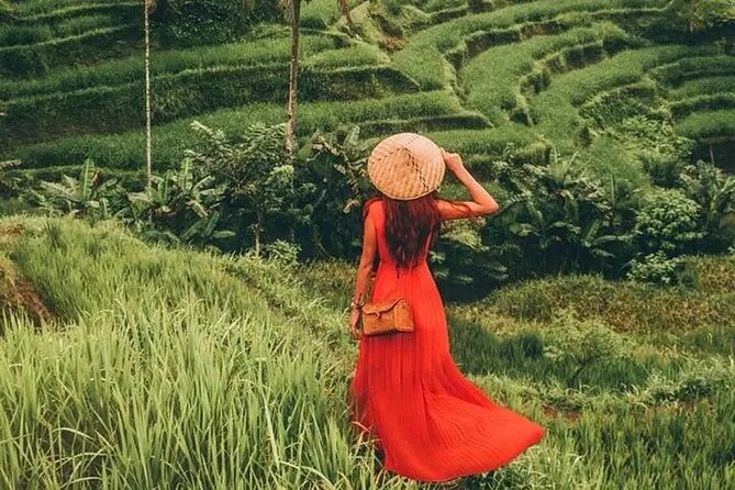 Bali Day Trip to Ubud Highlight Tour and Tanah Lot Temple - Tanah Lot at sunset: the grand finish
