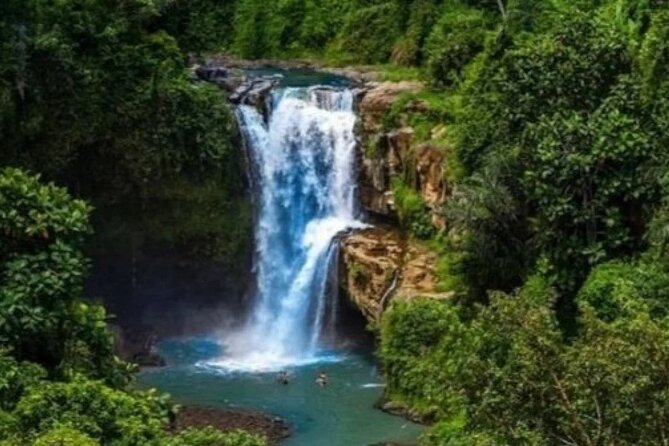 Bali Day Trip to Ubud Highlight Tour and Tanah Lot Temple - Who will enjoy this Bali day trip?