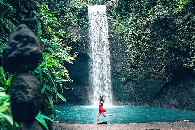 Bali Day Trip: Ubud Temples & Hidden Waterfalls - What private transport adds to the day