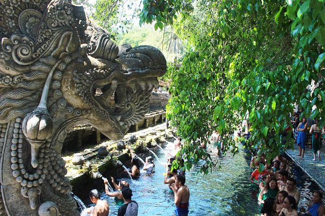 Bali Day Trip: Ubud Temples & Hidden Waterfalls - Who will enjoy this Ubud outing most
